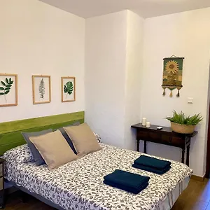 Сasa de vacaciones Palmeras